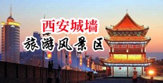 用自己的大鸡巴插入老师的逼的视频淫妇女中国陕西-西安城墙旅游风景区