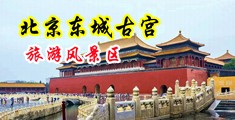 wwwwwwww后入wwwwwwww中国北京-东城古宫旅游风景区